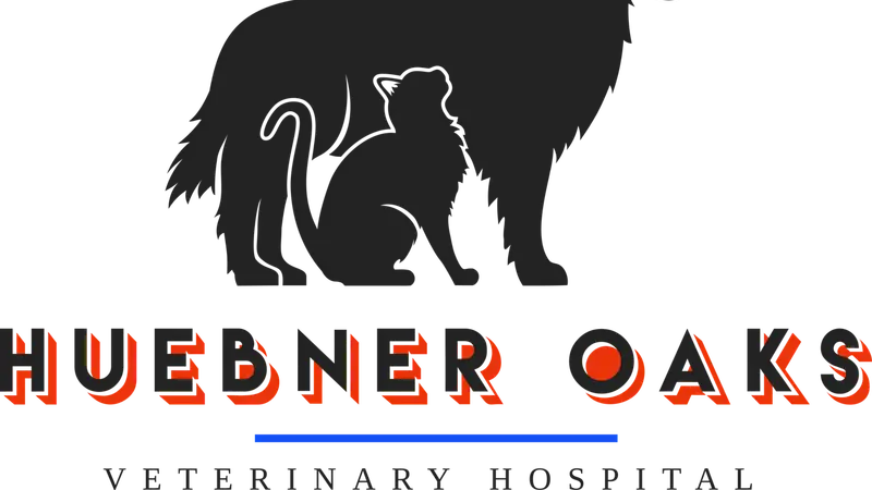 Huebner Oaks Veterinary Hospital preview