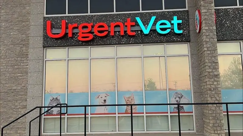 UrgentVet preview