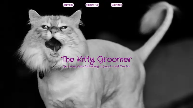 The Kitty Groomer Omaha preview