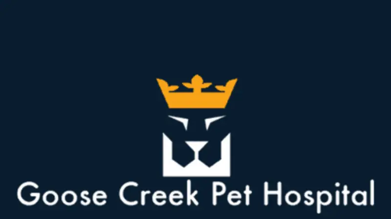 Goose Creek Pet Hospital preview