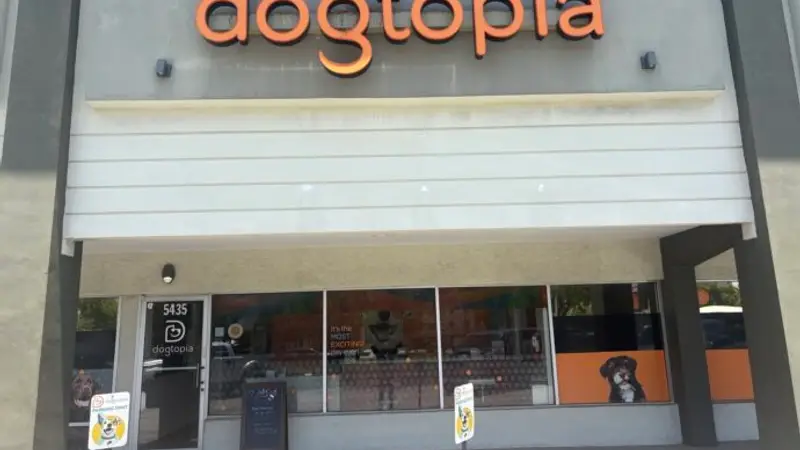 Dogtopia preview