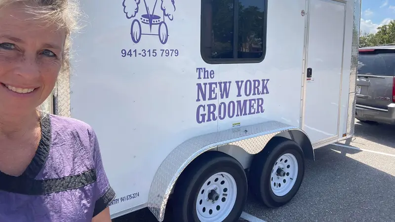 The New York Groomer preview