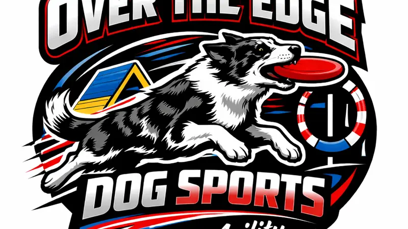 Ace'n Agility Training Center preview