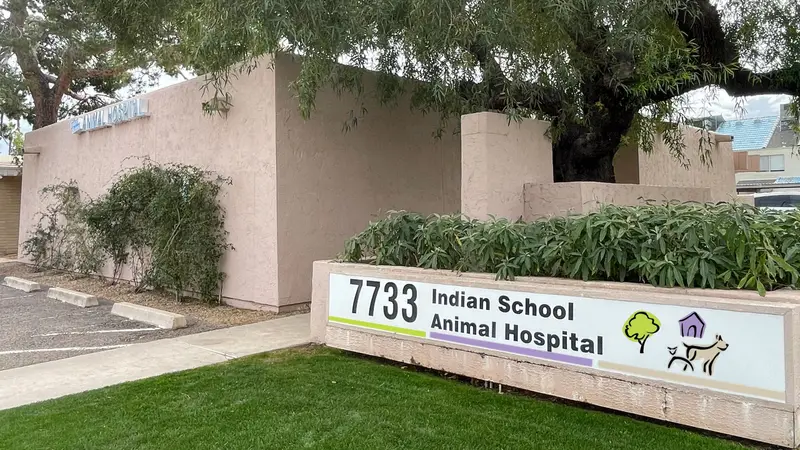 Indian School Animal Hospital preview