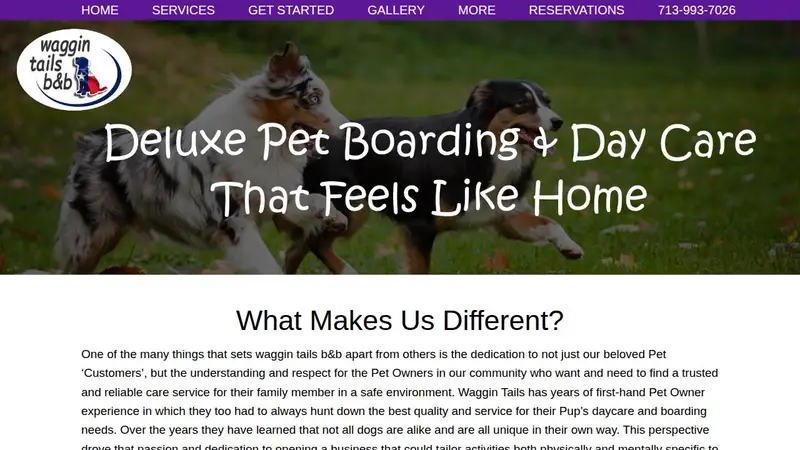 Waggin tails b&b preview