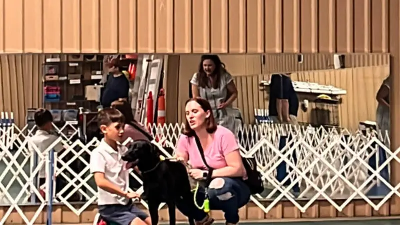 Smart Dog Training Center preview