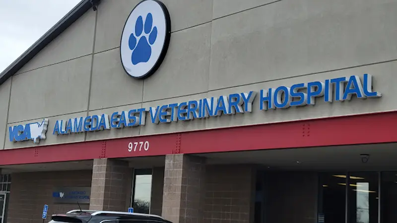 CVCA Cardiac Care for Pets preview