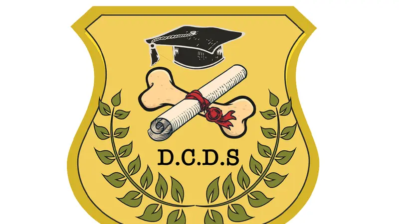 Dog Country Day School preview