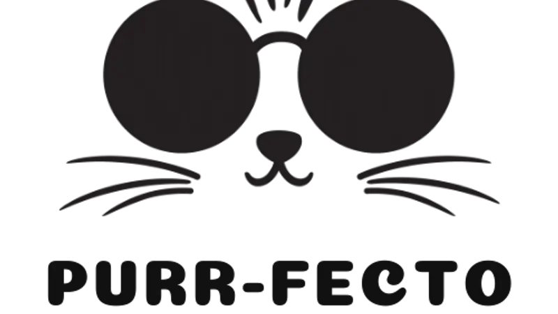 Purr-Fecto Cat Lounge preview