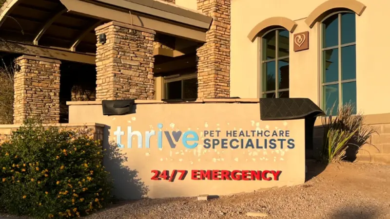 Thrive Pet Healthcare Specialists North Scottsdale preview