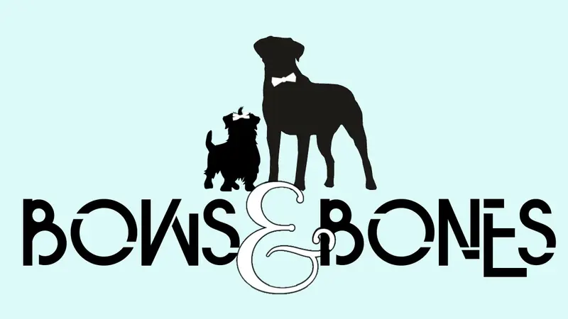 Bows and Bones Dog Grooming preview