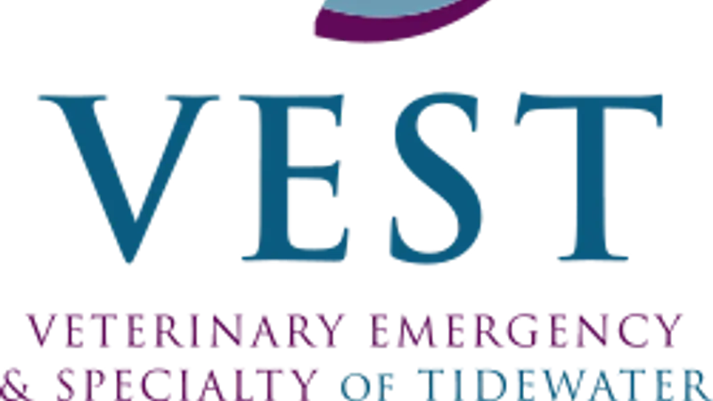 Veterinary Emergency & Specialty of Tidewater preview