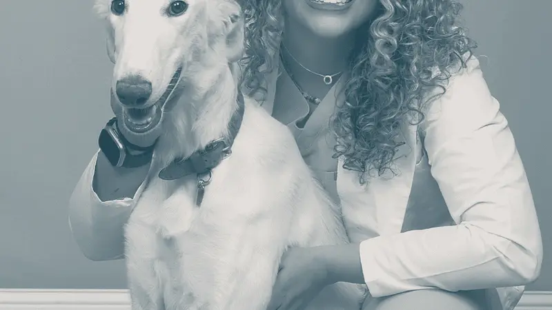 CityVet | Briargate Veterinary Clinic & Urgent Care preview