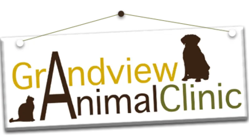 grandview animal clinic preview