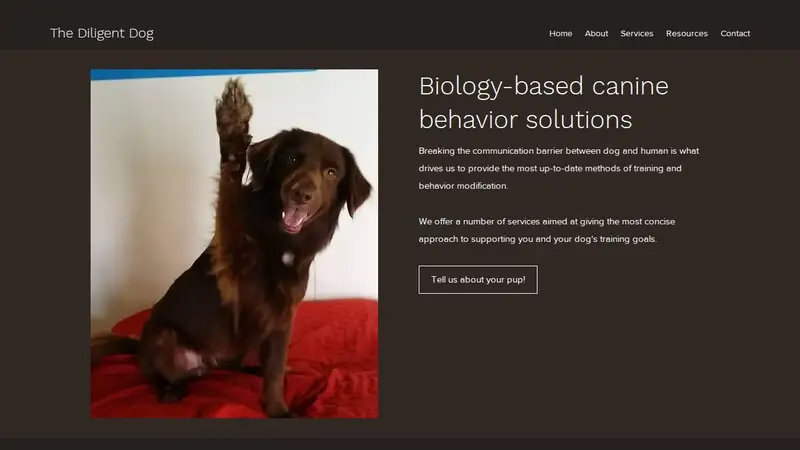 The Diligent Dog preview