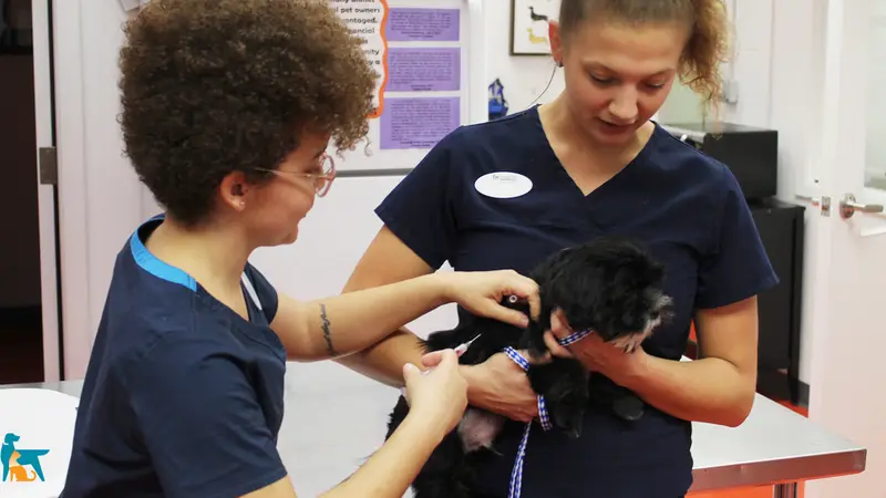 Stand For Animals Veterinary Clinic preview