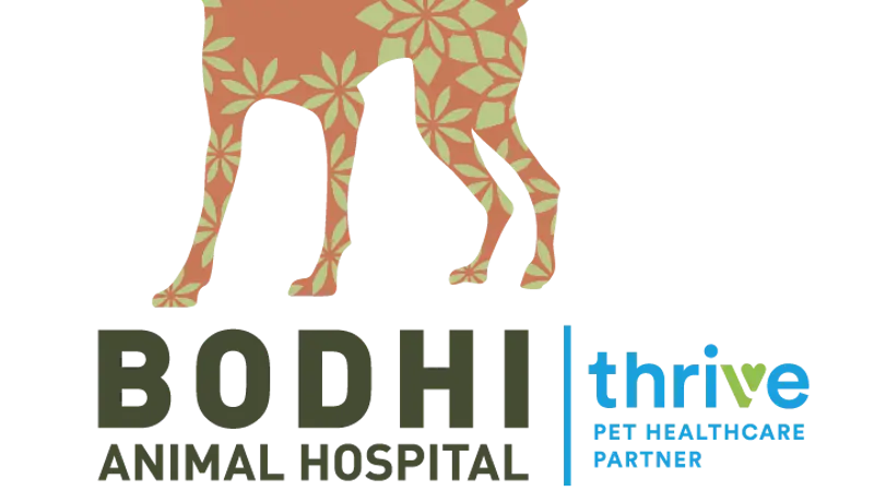 Bodhi Animal Hospital preview