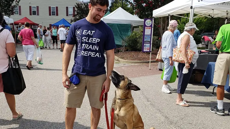Proactive Dog Training preview