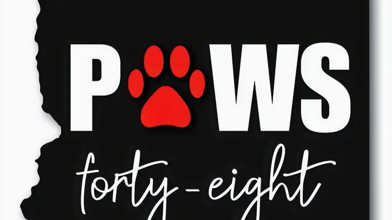 Paws 48 Dog Wash & Gym preview