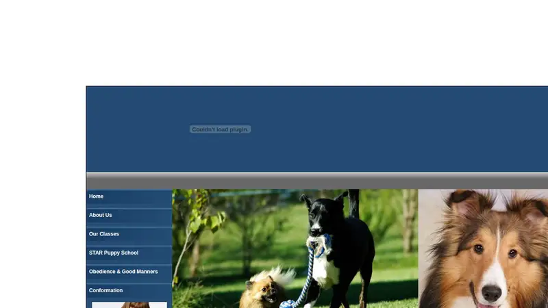 Southwest Florida Professional Dog Trainers Alliance preview