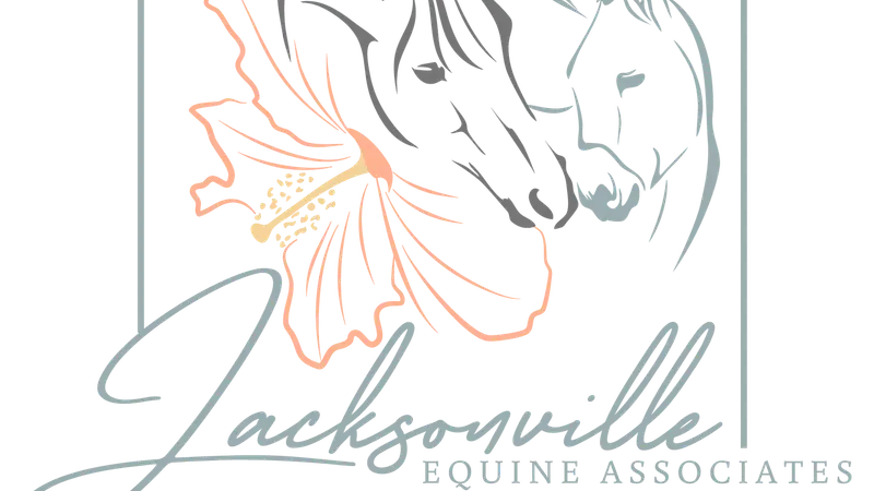 Jacksonville Equine Associates preview