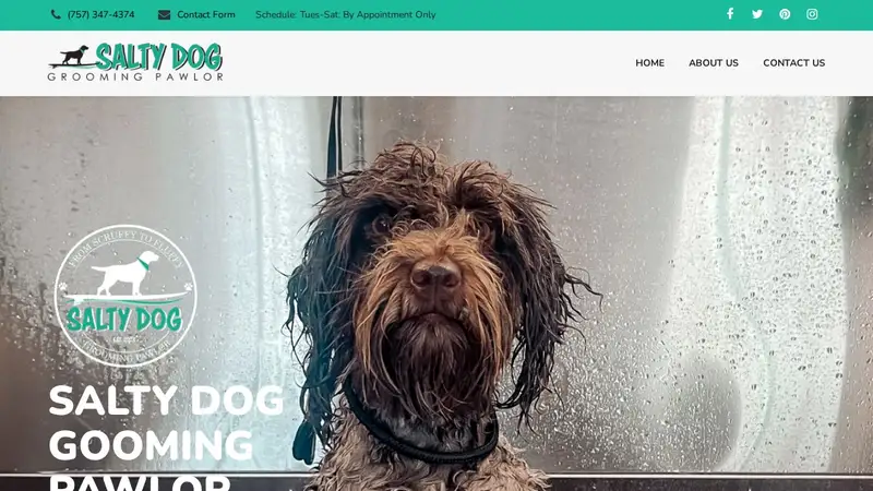 Salty Dog Grooming Pawlor preview