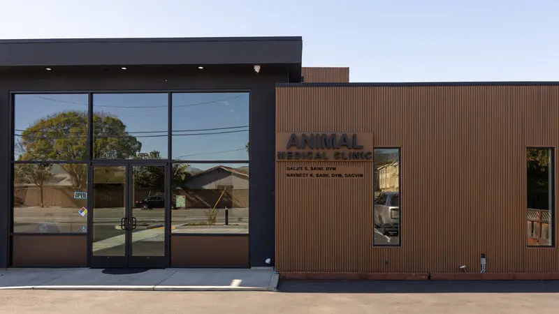 Animal Medical Clinic preview