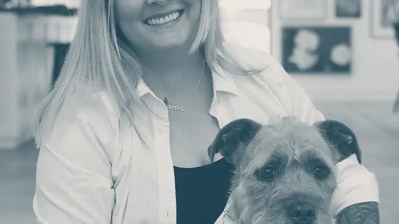 CityVet preview