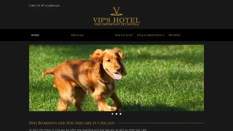 VIP's Pet Hotels Dog Boarding & Daycare preview