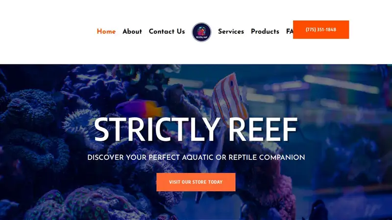 Strictly REEF preview