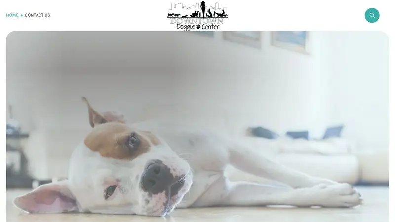 Downtown Doggie Center preview