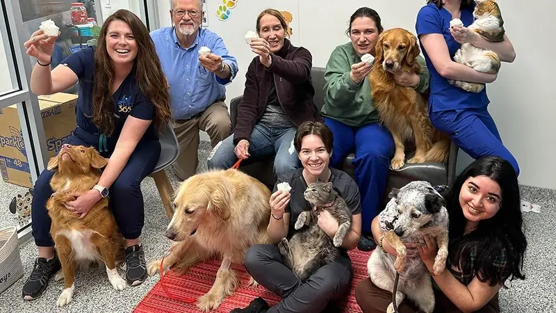 PetVet365 Pet Hospital preview