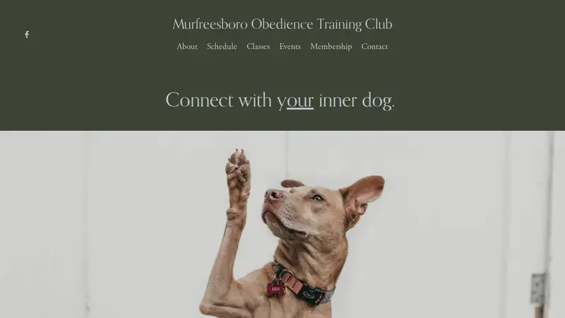 Murfreesboro Obedience Training Club preview