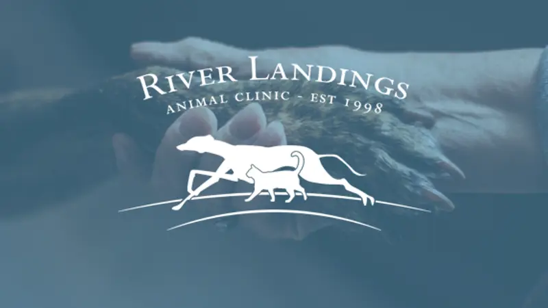 River Landings Animal Clinic preview