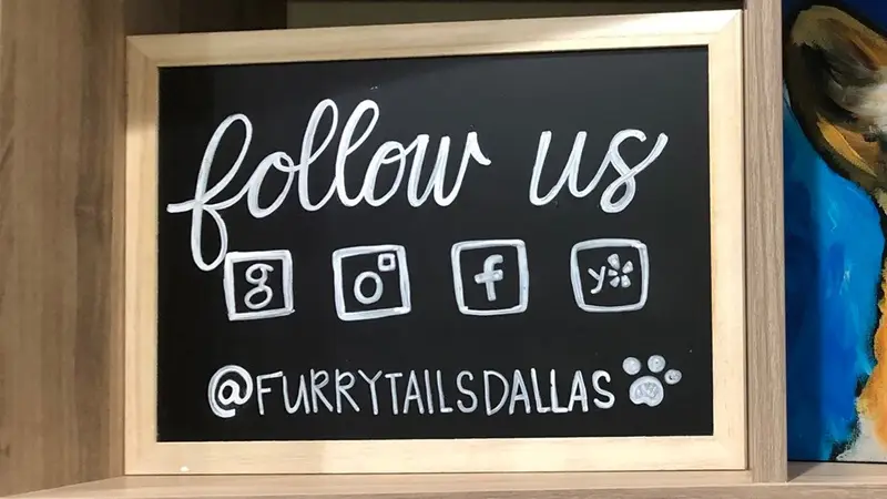 Furry Tails preview