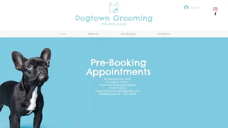 Dogtown Grooming preview