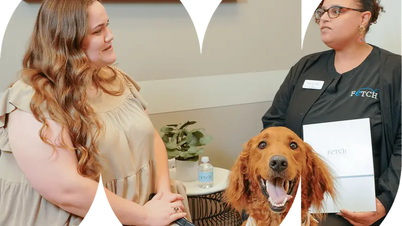 Fetch Specialty & Emergency Veterinary Centers (Greenville, SC) preview