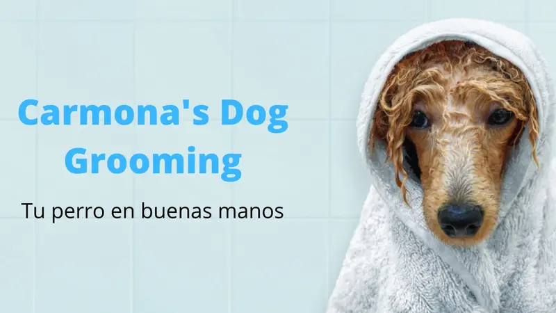 Carmona's Dog Grooming preview