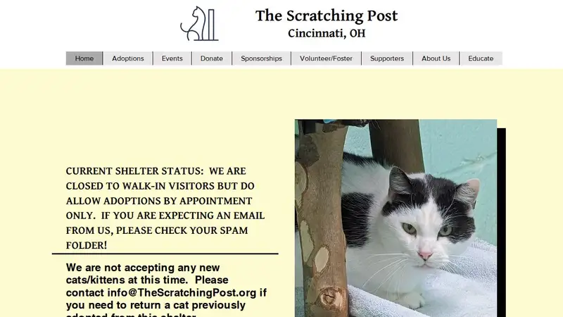 Scratching Post preview