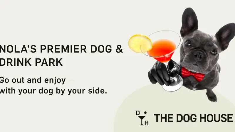 The Dog House preview