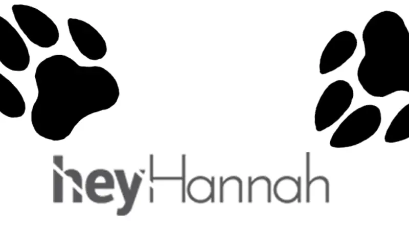 Hey Hannah preview