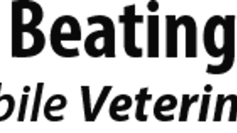Two Beating Hearts Mobile Veterinary Clinic preview