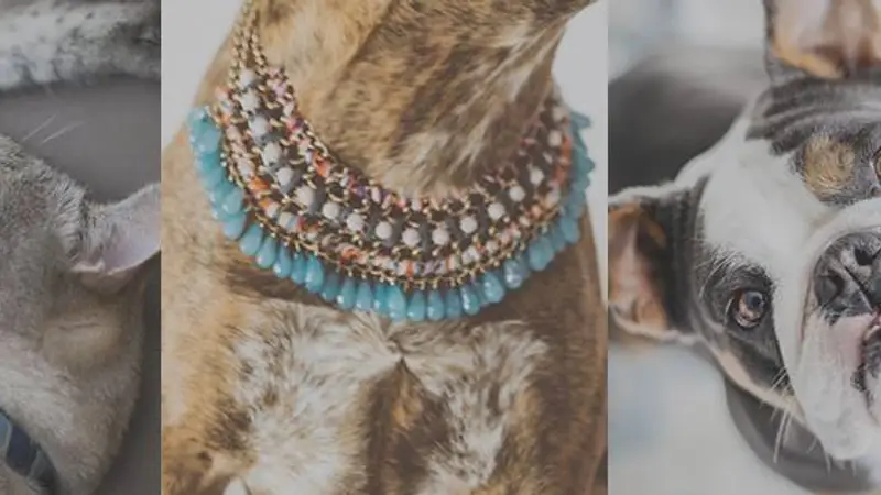 Lola & Penelopes preview