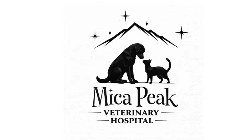Broadway Animal Hospital preview