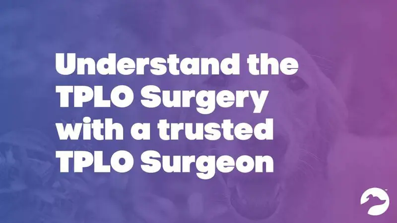 TPLO Austin preview