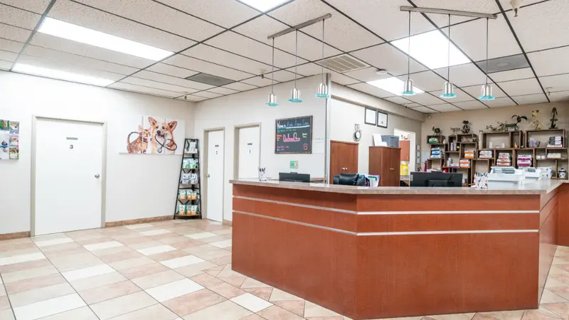 Acoma Animal Clinic preview