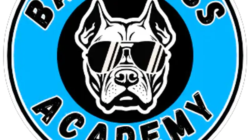 Bark Boss Academy preview