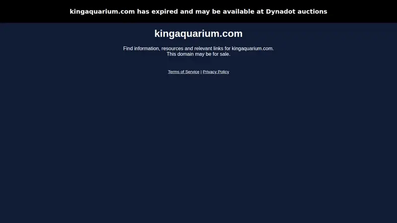 King Aquarium preview