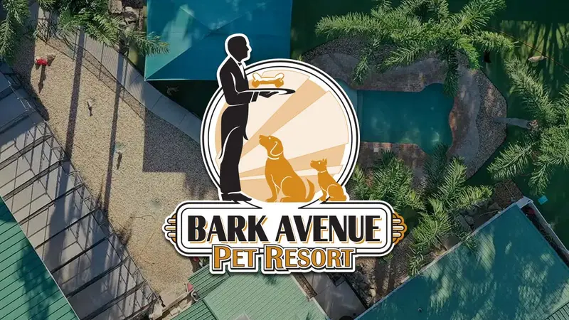Bark Avenue Pet Resort preview