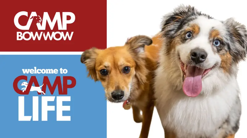 Camp Bow Wow North Raleigh preview